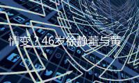 情变？46岁徐静蕾与黄立行同框无互动 表情冷漠