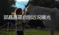 郭晶晶霍启刚近况曝光 牵手看电影甜蜜如热恋